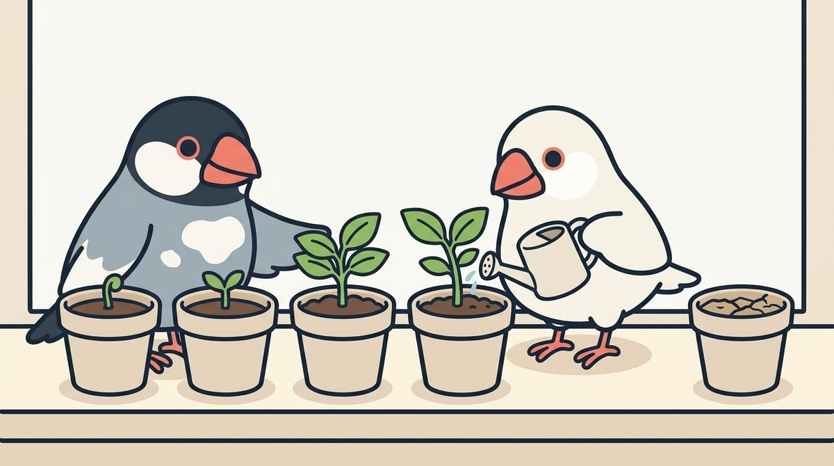 窓辺に並んだ土の量が違う4つの鉢に、白文鳥のみぞれが水をやり、桜文鳥のしぐれが鉢を支えている